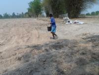 post-185776-0-76234100-1378978777_thumb.