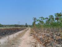 post-185776-0-76648400-1379065853_thumb.