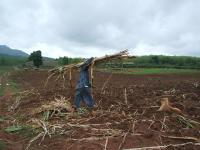 post-185776-0-93866100-1378123494_thumb.