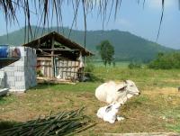 post-185776-0-95058600-1379242865_thumb.