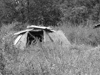 post-185776-0-96357800-1378096799_thumb.