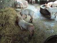 post-32351-0-38048400-1379821730_thumb.j