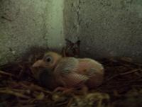 post-32351-0-87284700-1380261614_thumb.j