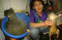 post-61315-0-06247400-1378216929_thumb.j