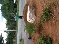 post-85853-0-24717000-1378601840_thumb.j