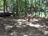 post-85853-0-68402000-1380080111_thumb.j