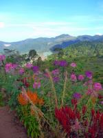 post-85853-0-80125400-1379751223_thumb.j