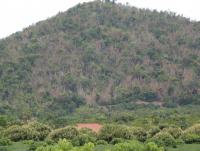 post-87221-0-34653600-1378353563_thumb.j