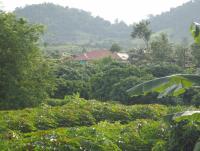 post-87221-0-66954200-1378432449_thumb.j