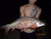 post-87221-0-67772200-1378623215_thumb.j