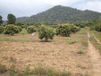 post-87221-0-68370500-1378538279_thumb.j