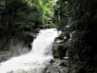 post-12069-0-27861100-1411907971_thumb.j