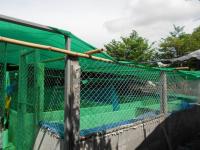 post-126208-0-89213600-1410117403_thumb.