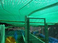 post-126208-0-94539100-1410117398_thumb.