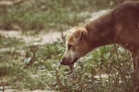 post-135946-0-90448700-1409573257_thumb.