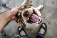 post-141091-0-10450200-1412012537_thumb.