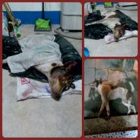 post-141091-0-21173400-1412012417_thumb.