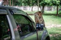 post-141091-0-33833200-1412014412_thumb.