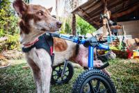 post-141091-0-63182300-1412012470_thumb.