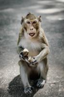 post-141091-0-72853500-1412014059_thumb.