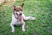 post-141091-0-84062400-1412012525_thumb.