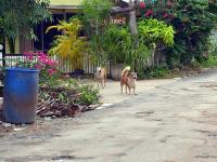 post-146250-0-20767300-1410507852_thumb.