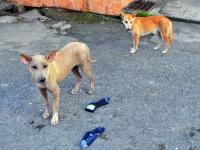 post-146250-0-26498200-1410595027_thumb.