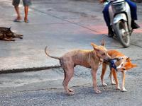 post-146250-0-38809500-1410595038_thumb.