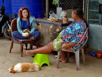 post-146250-0-43655800-1410596107_thumb.