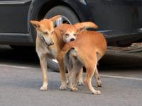 post-146250-0-68443400-1410664298_thumb.