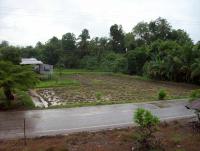 post-175700-0-38756900-1409561643_thumb.