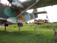 post-175700-0-96938100-1411610859_thumb.