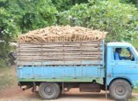 post-182905-0-18004200-1409645717_thumb.