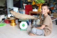 post-182905-0-31041900-1409645729_thumb.