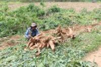 post-182905-0-56278300-1409645700_thumb.