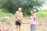 post-182905-0-92981400-1409645688_thumb.