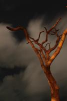 post-201592-0-59546700-1410736278_thumb.