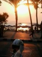 post-205215-0-10677800-1411134080_thumb.