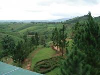 post-220659-0-13114600-1411738527_thumb.