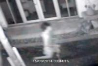 post-221359-0-05254700-1411808438_thumb.