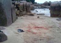 post-221894-0-13639500-1412069263_thumb.