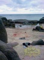 post-221894-0-20092600-1412069243_thumb.