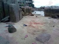 post-221894-0-24707800-1412069281_thumb.