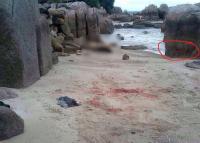 post-221894-0-42770400-1412076995_thumb.