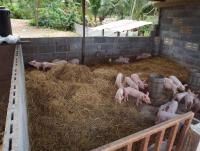 post-32351-0-24430300-1409989362_thumb.j