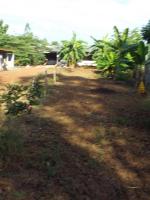 post-32351-0-25153600-1410573214_thumb.j