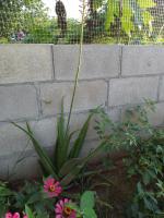 post-32351-0-41973000-1410261426_thumb.j