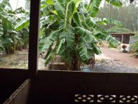 post-32351-0-90256100-1409645644_thumb.j