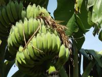 post-32351-0-92584600-1410835419_thumb.j