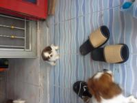 post-42643-0-53691100-1410418952_thumb.j